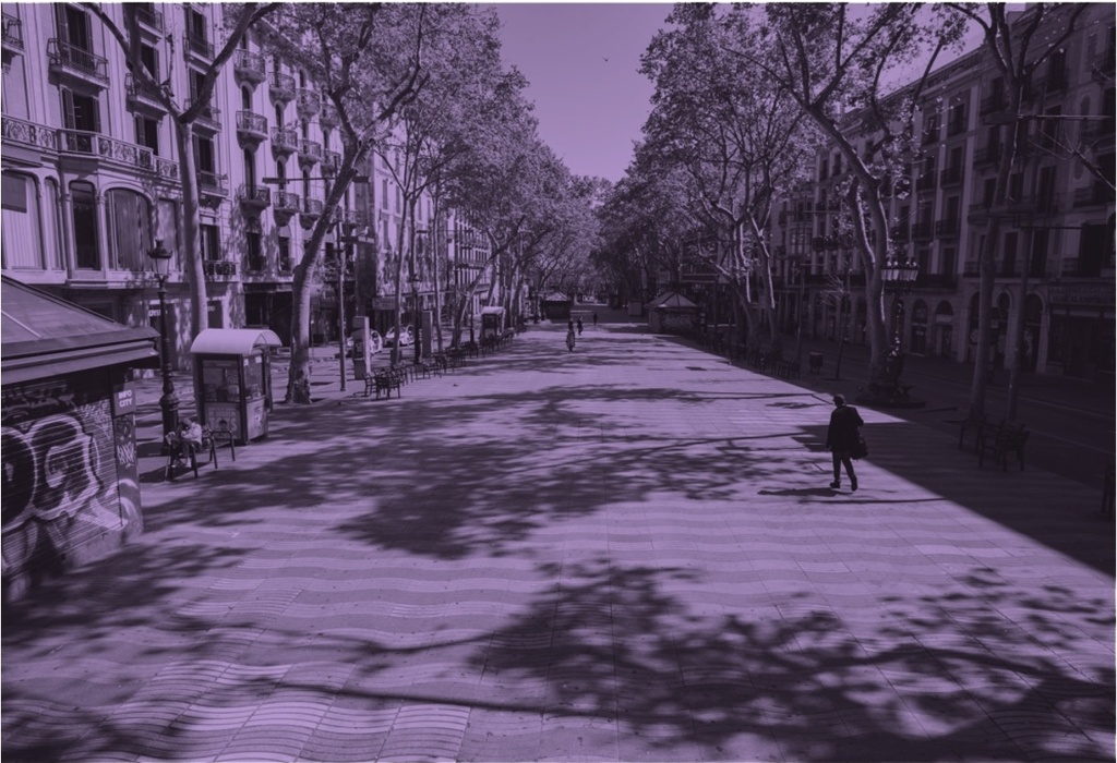 Cities against loneliness: understanding, identifying and tackling urban loneliness (in partnership with the City of Barcelona)